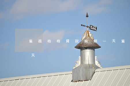 紫薇格格貸款逾期一天(紫薇格格貸款逾期一天)