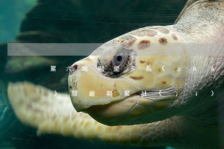 累六逾期是多長(zhǎng)時(shí)間(逾期累計(jì)6次是指單筆貸款還是所有)