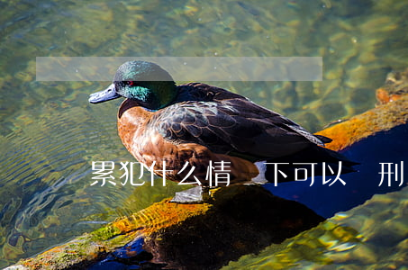 累犯什么情況下可以減刑