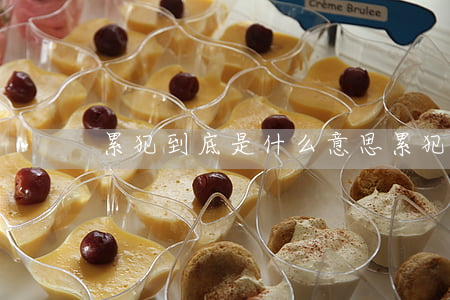 累犯到底是什么意思,累犯可不可以假释呢