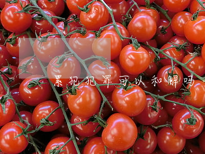 累犯犯罪可以和解吗