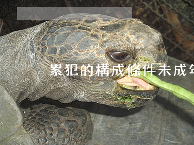 累犯的構成條件(未成年累犯的構成條件)