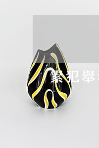 累犯舉報案件能減刑嗎