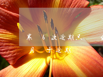 累積6次逾期只針對信用卡嗎-信用卡6個月處于逾期