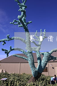 累積借款怎么算訴訟時(shí)效