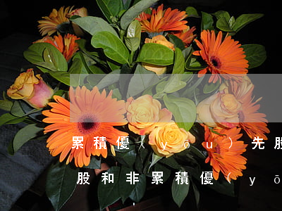 累積優(yōu)先股(累積優(yōu)先股和非累積優(yōu)先股)