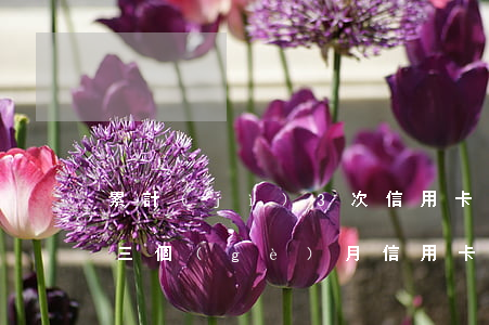 累計(jì)3次信用卡逾期(連續(xù)三個(gè)月信用卡逾期)