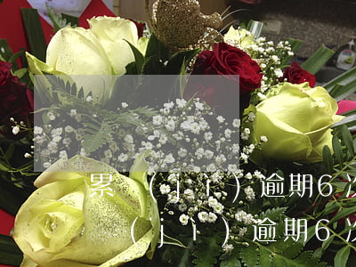 累計(jì)逾期6次幾年內(nèi)（累計(jì)逾期6次幾年內(nèi)）