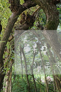 累計(jì)逾期三次能貸款嗎(連續(xù)三次逾期能貸款嗎)