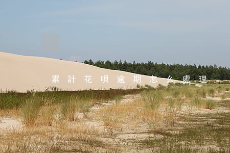 累計花唄逾期怎么處理