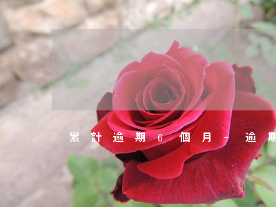 累計逾期6個月-逾期超過6個月
