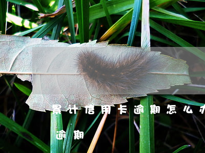 累计信用卡逾期怎么办-如何才能算信用卡逾期