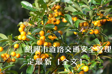 紹興市道路交通安全管理若干規(guī)定最新【全文】