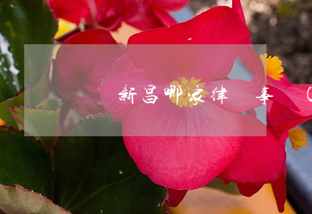 紹興新昌哪家律師事務(wù)所好