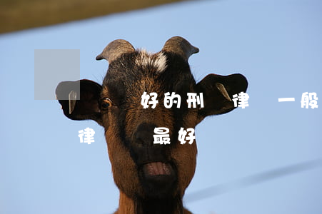 紹興較好的刑辯律師一般怎么收費(紹興刑事律師誰最好)