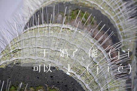 終于離婚了還能結(jié)婚嗎(離婚之后可以馬上結(jié)婚嗎)