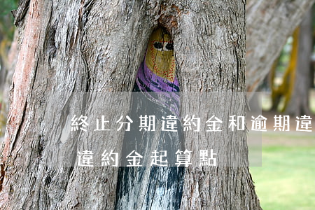 終止分期違約金和逾期違約金 分期付款逾期違約金起算點