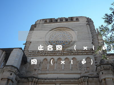 終止合同協(xié)議書范本(違約終止合同協(xié)議書范本)