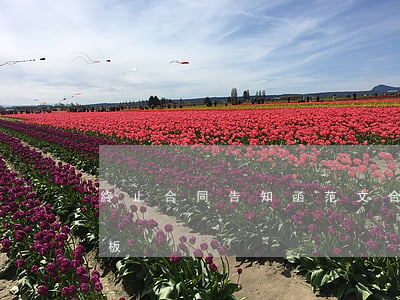 終止合同告知函范文(合同到期終止通知函模板)