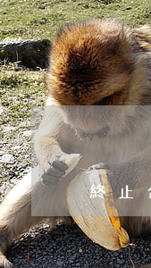 終止合同糾紛如何處理