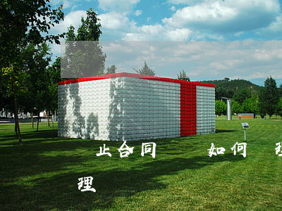 終止合同糾紛如何處理(終止合同糾紛如何處理)