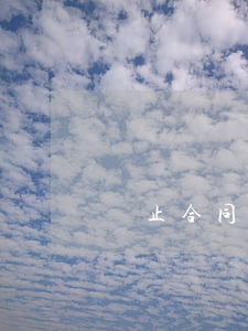 終止合同能否追究違約責(zé)任