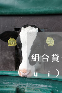 組合貸公積金逾期(組合貸公積金逾期會(huì)怎么樣)