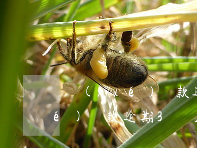 組學(xué)貸款逾期3個月(組學(xué)貸款逾期3個月)