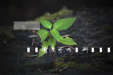 組織偷渡可以緩刑嗎(組織偷渡罪)