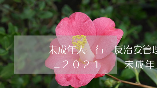 組織未成年人進行違反治安管理活動罪立案標準_2021組織未成年人進行違反治安管理活動罪量刑標準和認定
