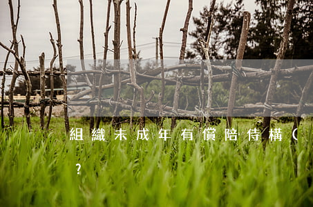 組織未成年有償陪侍構(gòu)成什么罪？