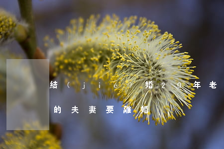 結(jié)婚20年老婆提離婚(二十幾年的夫妻要離婚)