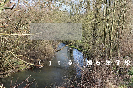 結(jié)婚6年了想離婚
