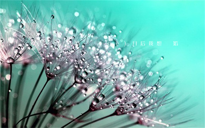 結(jié)婚一個(gè)月后我想離婚