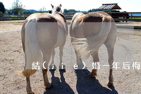 結(jié)婚一年后悔離婚怎么辦