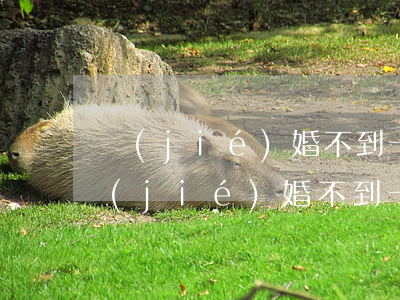 結(jié)婚不到一年離婚的退彩禮嗎(結(jié)婚不到一年就離婚彩禮能退還不)