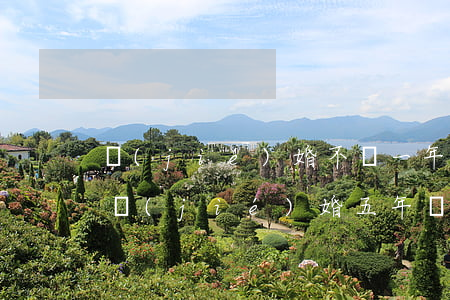 結(jié)婚不滿一年想離婚彩禮怎么辦(結(jié)婚五年 現(xiàn)在想離婚 老公要彩禮錢怎么辦)