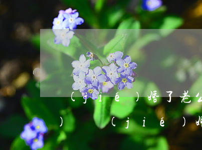 結(jié)婚了老公欠很多網(wǎng)貸(結(jié)婚了老公欠很多網(wǎng)貸)