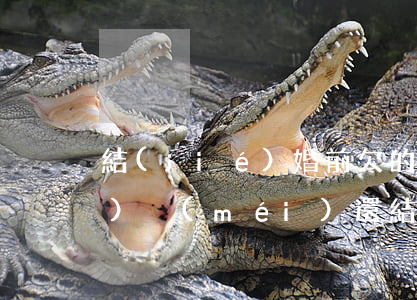 結(jié)婚前欠的信用卡錢(qián)沒(méi)還結(jié)婚后會(huì)不會(huì)影響老婆信用卡（婚后欠信用卡會(huì)執(zhí)行婚前財(cái)產(chǎn)嗎）