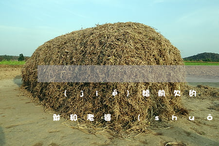 結(jié)婚前欠的網(wǎng)貸不敢和老婆說(shuō)(媳婦婚前欠的網(wǎng)貸我需不需要還)