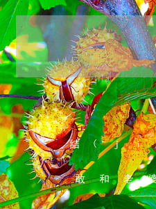 結(jié)婚前欠的網(wǎng)貸不敢和老婆說(媳婦婚前欠的網(wǎng)貸我需不需要還)