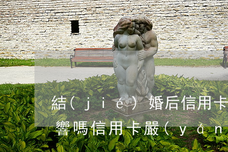結(jié)婚后信用卡逾期會對對方有影響嗎（信用卡嚴(yán)重逾期會影響伴侶嗎）