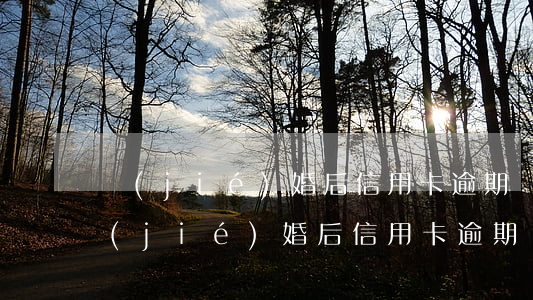結(jié)婚后信用卡逾期還不上老婆(結(jié)婚后信用卡逾期還不上老婆怎么辦)
