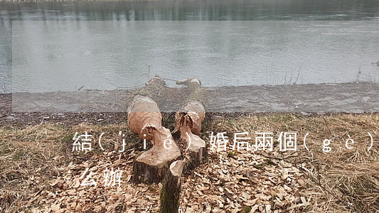 結(jié)婚后兩個(gè)月想離婚怎么辦