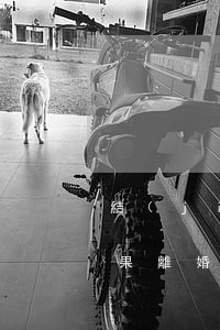 結(jié)婚后想離婚可以將就不離嗎(如果離婚了就不再結(jié)婚)