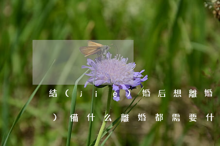 結(jié)婚后想離婚需要準(zhǔn)備什么(離婚都需要什么手續(xù)?需要準(zhǔn)備什么?)