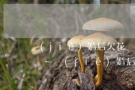 結(jié)婚后欠花唄會給你丈夫打電話嗎-結(jié)婚后欠花唄會給你丈夫打電話嗎怎么辦