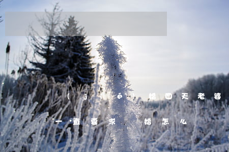 結(jié)婚四天老婆鬧離婚怎么辦(老婆一直要求離婚怎么辦)