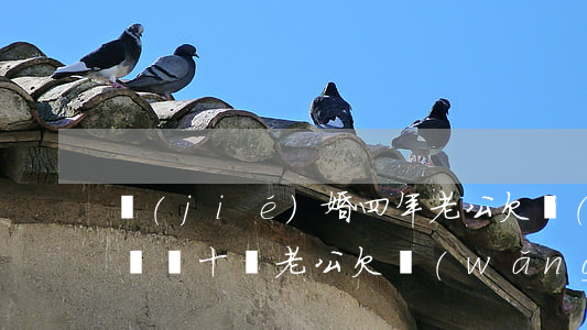 結(jié)婚四年老公欠網(wǎng)貸幾十萬(老公欠網(wǎng)貸十多萬怎么辦)