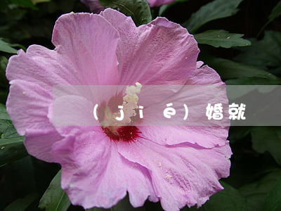 結(jié)婚就鬧離婚怎么辦